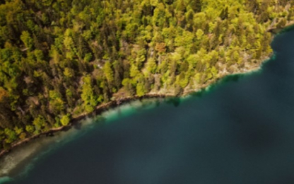 LONETA project is looking for stakeholders interested in negative emission technologies in the forest and marine sector sea and trees