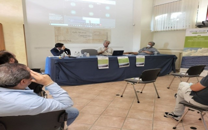 meetings with Local Goverance Systems Meeting