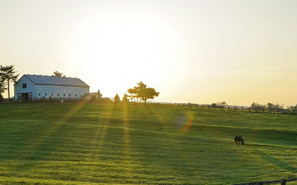 house on the prairie