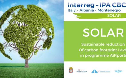 tree- sustainable reduction of carbon