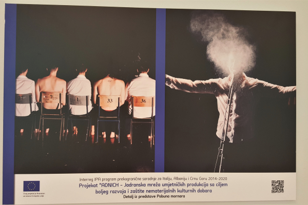 poster ADNICH project