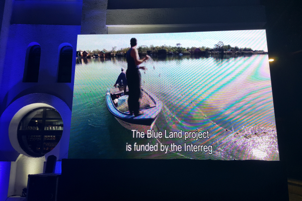projects video presentation